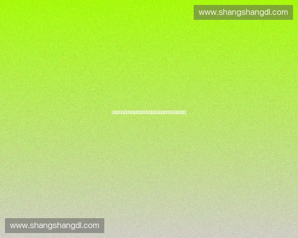 面向大型体育活动安全保障的综合应急预案体系建设研究与实践路径