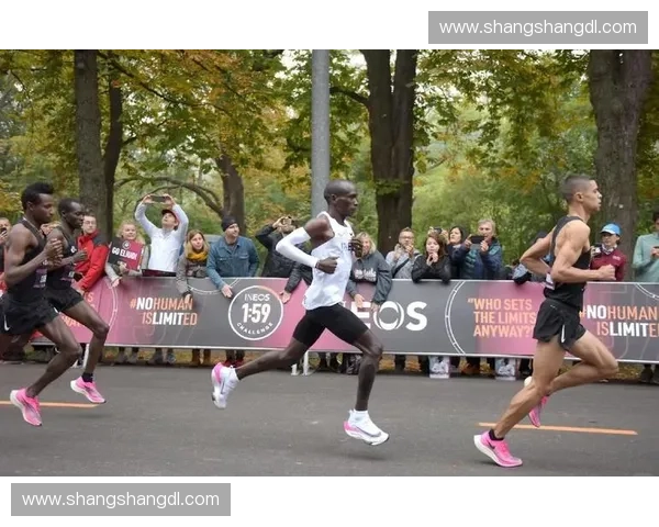 提升行走与奔跑效率的科学方法与步伐优化策略探索